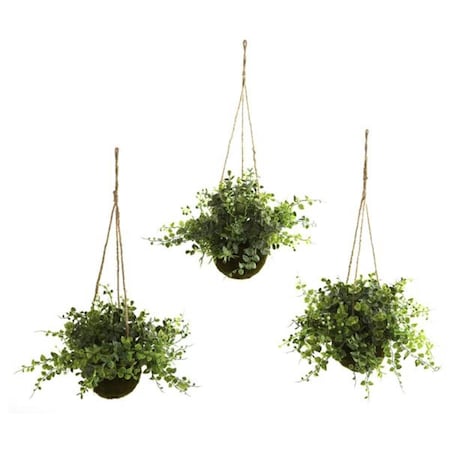Dare2Decor Eucalyptus; Maiden Hair & Berry Han- ng Basket, 3PK DA420865